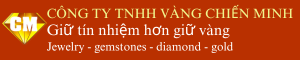 Logo Vàng Chiến Minh